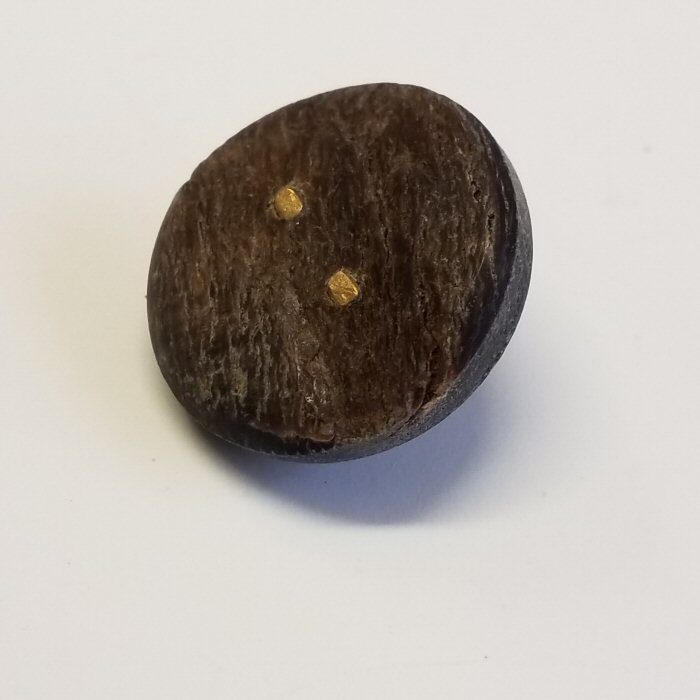 real buffalo horn button country