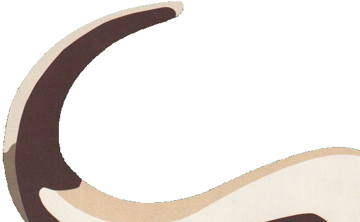 Logo Horn Knöpfe aus echt Büffelhorn