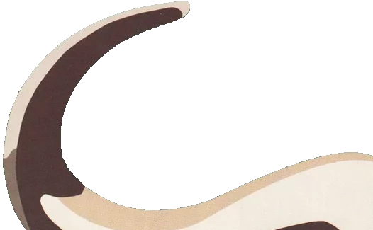 Logo Horn Knöpfe aus echt Büffelhorn